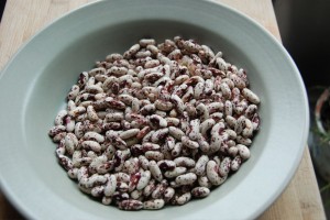 a pretty bowl of shelled beans