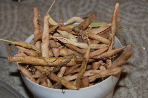 dried Jacob's Cattle beans