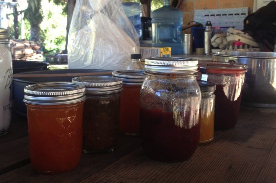 apricot, pluot, kumquat and strawberry jams for the tarts